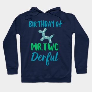 Birthday of Mr.two Derful Hoodie